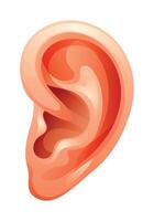 Ear illustration isolated on white background. Vector cartoon