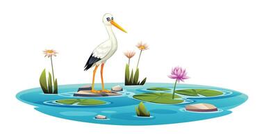 illustration of a stork in a pond. Vector cartoon isolated on white background