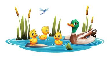 Duck and ducklings swimming in the pond with dragonfly. Vector cartoon illustration isolated on white background