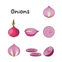 Vector of onion as vegetable icon sheet