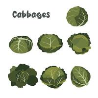 Vector of cabbages icon set