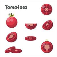 tomate icono conjunto vector