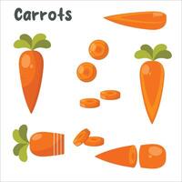 Carrot vector icon sheet