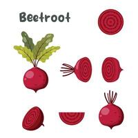 Beetroot vector icon set