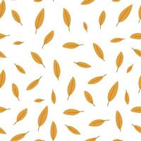 Yellow falling leaves, seamless pattern on white background. Autumn leaves pattern. Concepts of nature, botany and fall season. vector