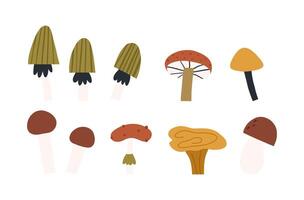 Set of various mushroom, hand drawn flat vector illustration isolated on white background. Collection of cute edible and poisonous mushrooms. Autumn nature elements.