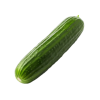 AI generated Cucumber png isolated on transparent background