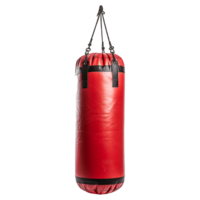 AI generated Punching bag isolated on transparent background png