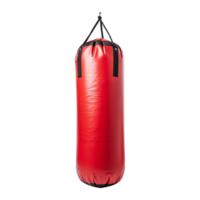 AI generated Punching bag isolated on transparent background png