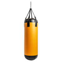 AI generated Punching bag isolated on transparent background png