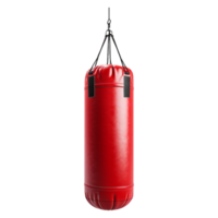 AI generated Punching bag isolated on transparent background png