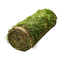 AI generated Rolled lawn isolated on transparent background png