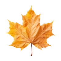 AI generated Maple leaf isolated on transparent background png