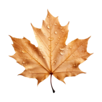 AI generated Maple leaf isolated on transparent background png