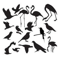 Black flock of bird vector illustration design .