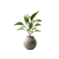 AI generated A vase plant png isolated on transparent background