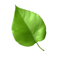 AI generated 3d render of a leaf png isolated on transparent background