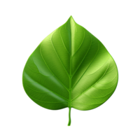 AI generated 3d render of a leaf png isolated on transparent background