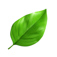 AI generated 3d render of a leaf png isolated on transparent background