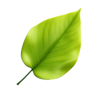 AI generated 3d render of a leaf png isolated on transparent background