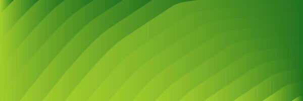 abstract elegant green background with lines vector