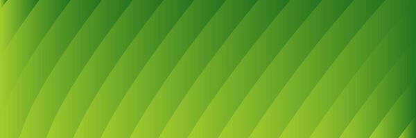 abstract elegant green background with lines vector