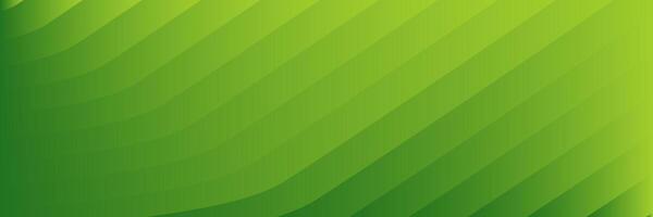 abstract elegant green background with lines vector