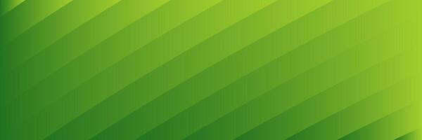 abstract elegant green background with lines vector