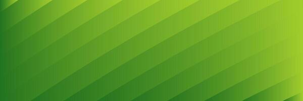 abstract elegant green background with lines vector