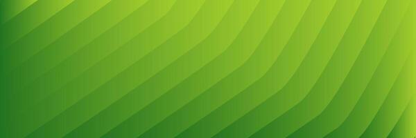 abstract elegant green background with lines vector