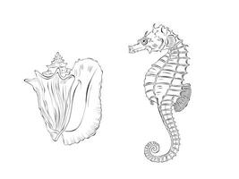 Seahorse and Seashell Vector Illustration set. Isolated on white background. Doodle Outline for coloring book, design logo, fabric, wallpaper