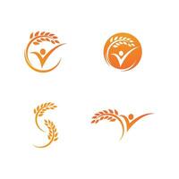 Wheat Logo icon vector