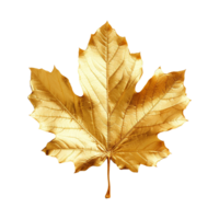 AI generated Golden leaf isolated on a transparent background png