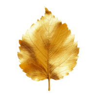 AI generated Golden leaf isolated on a transparent background png