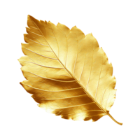 AI generated Golden leaf isolated on a transparent background png