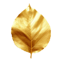 AI generated Golden leaf isolated on a transparent background png