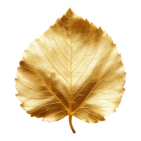 AI generated Golden leaf isolated on a transparent background png