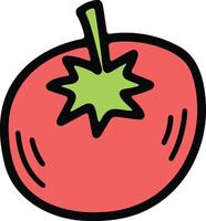 Hand Drawn tomato in flat style vector