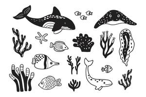 Hand Drawn Set of aquatic animal characters in flat style vector