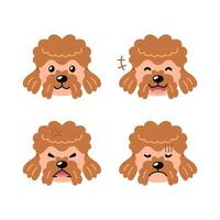 Set of character brown poodle dog faces showing different emotions vector