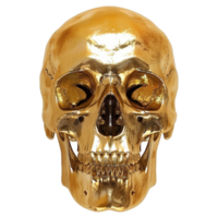 AI generated Gold skull isolated on transparent background png