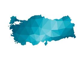 vector aislado ilustración icono con simplificado azul silueta de Turquía mapa. poligonal geométrico estilo, triangular formas blanco antecedentes.