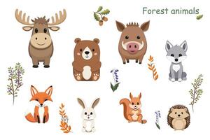Set of forest animals - elk, wild boar, bear, wolf, fox, hare, squirrel, hedgehog vector