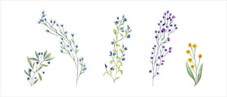 Meadow herbs, plants. Wildflower clip art. Yellow, blue abstract flower, green grass. Simple flowers. Spring, summer greenery. Watercolor illustration. For wedding textile, design. vector