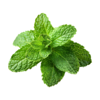 AI generated Top viwe peppermint isolate on transparent background png