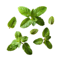 AI generated Top viwe peppermint isolate on transparent background png