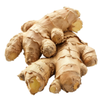 AI generated Ginger isolated on transparent background png