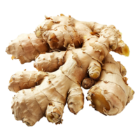 AI generated Ginger isolated on transparent background png