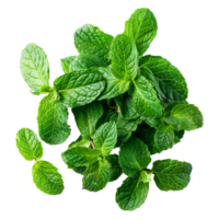 AI generated Top viwe peppermint isolate on transparent background png