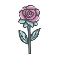 A single pink rose in full bloom with green leaves rests vector